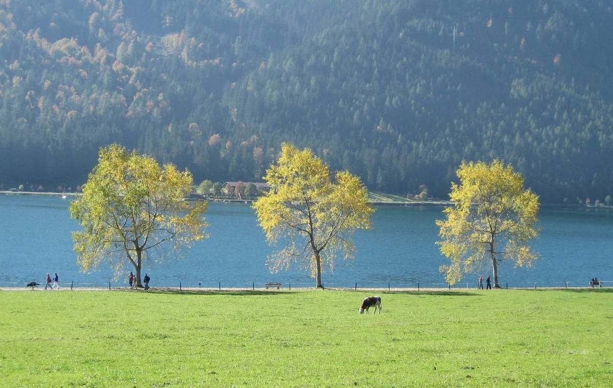 Achensee in Tirol mit Karwendel