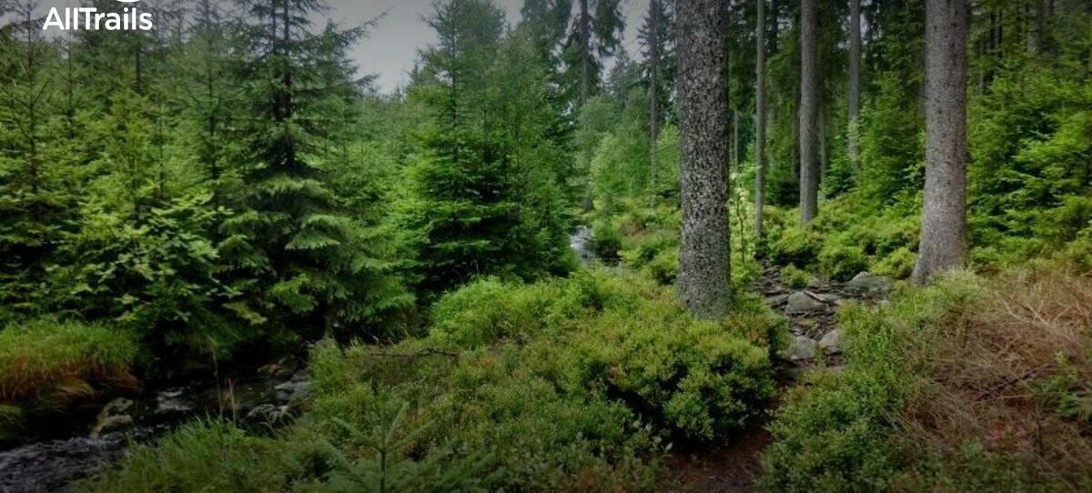 Bikepark Ochsenkopf