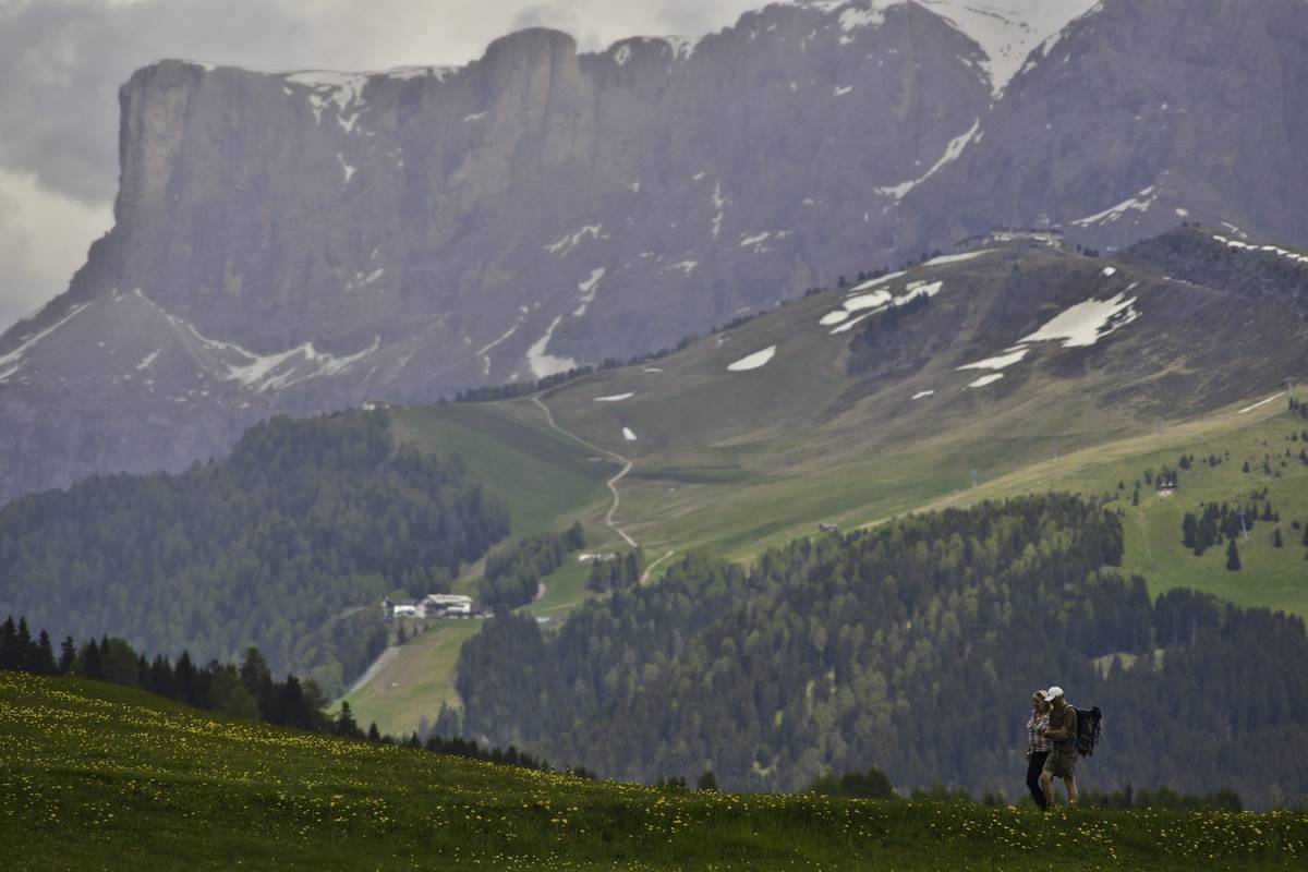 Seiser Alm mit Schlern und Langkofel in Südtirol
